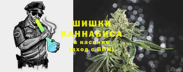 дживик Краснослободск