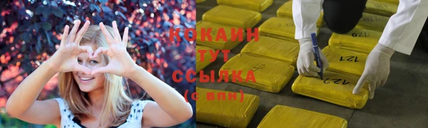 сатива Краснотурьинск