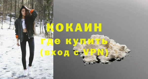 сатива Краснотурьинск