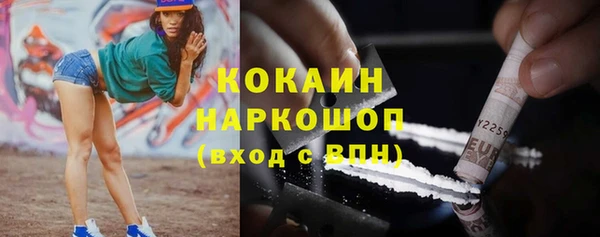 дживик Краснослободск