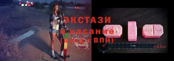 дживик Краснослободск