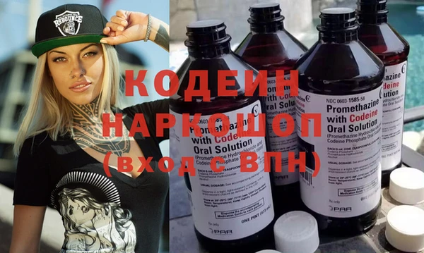 дживик Краснослободск