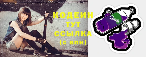 дживик Краснослободск
