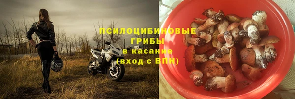 дживик Краснослободск