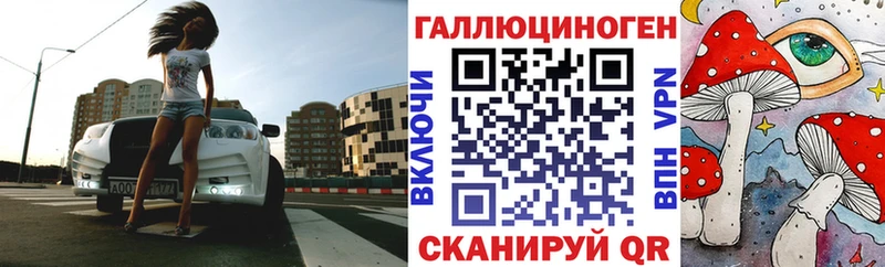 Псилоцибиновые грибы MAGIC MUSHROOMS  Купить где  Свободный 