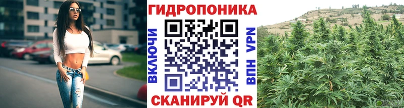 Шишки марихуана MAZAR  Купить закладки  Свободный 
